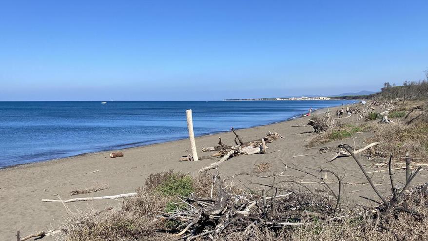 Erosione a Marina di Cecina, così il mare divora due metri di spiaggia all’anno. Che cos’è il progetto “Interreg Ammirare”