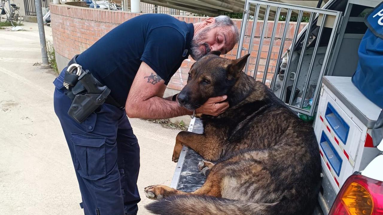 E’ andato in pensione il commissario col cane: «Quante imprese con Duca e Victor»