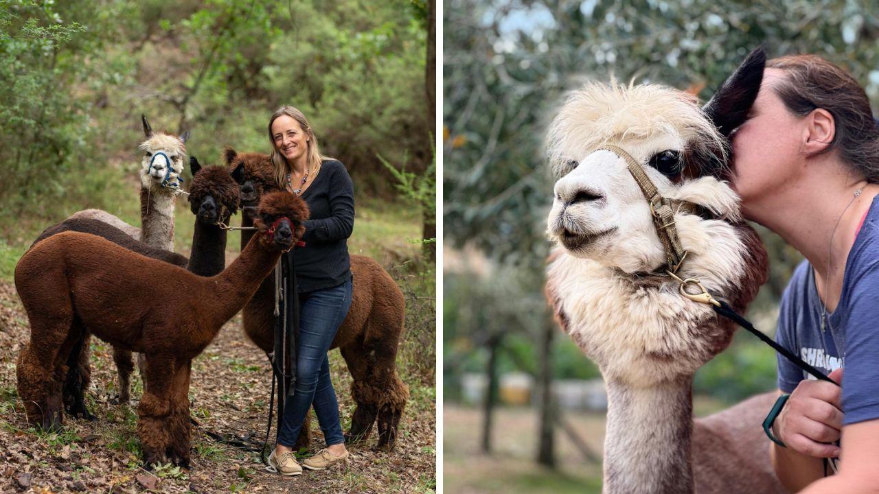 Camilla Esclapon de Villenueve con i suoi alpaca