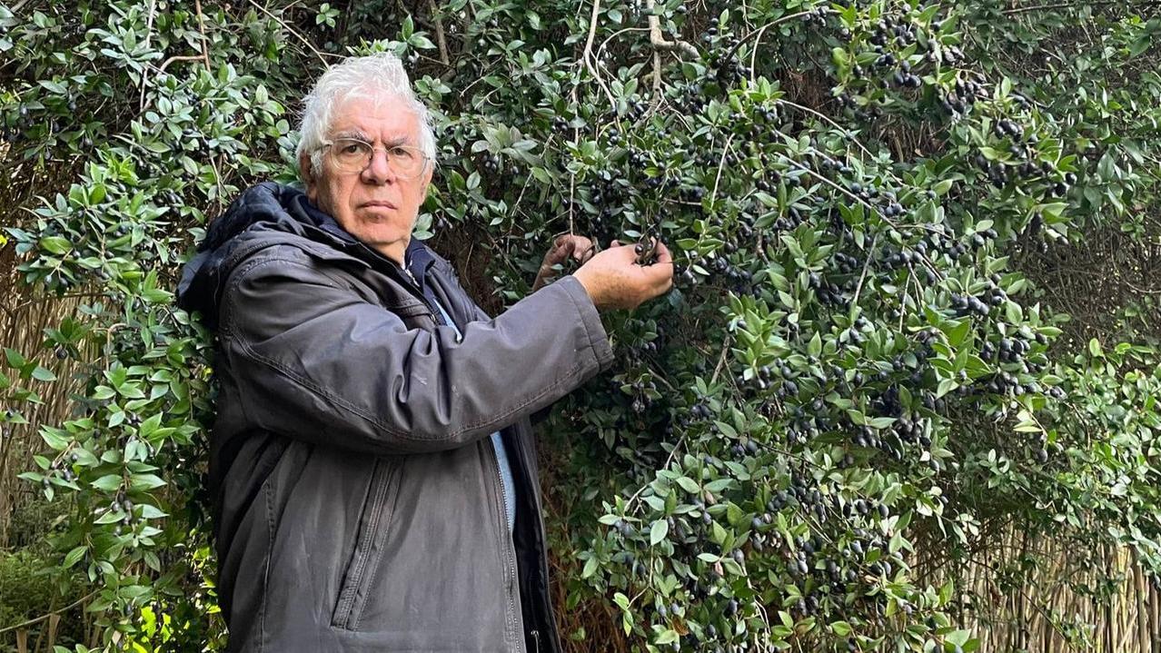 Cultura sarda in lutto, addio al professore Ignazio Camarda