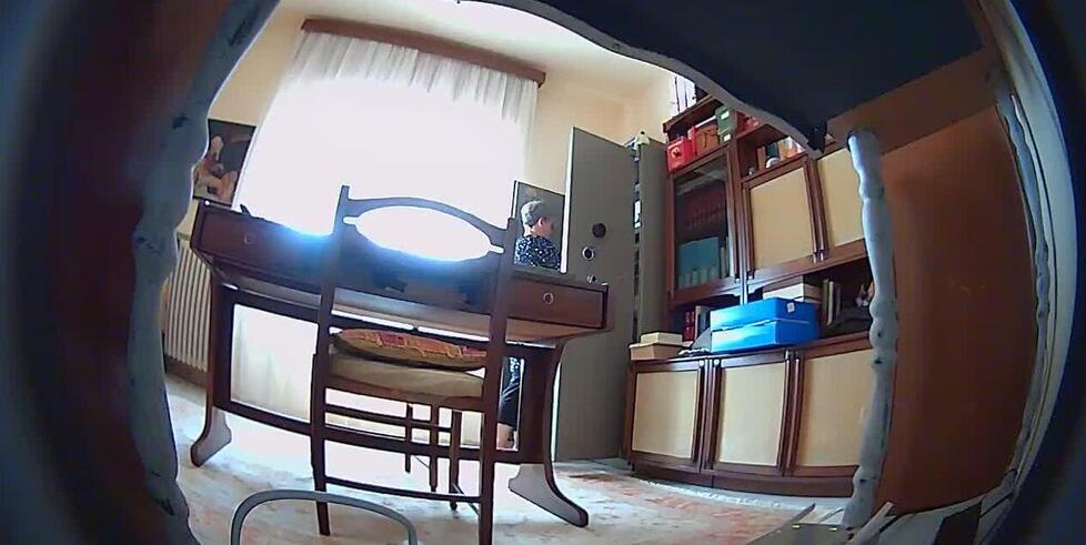 
	Il momento del furto ripreso dalla telecamera nascosta nello studio

