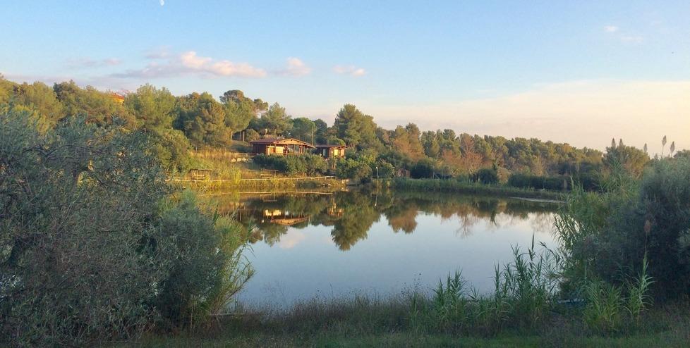 
	Il laghetto delle Spianate

