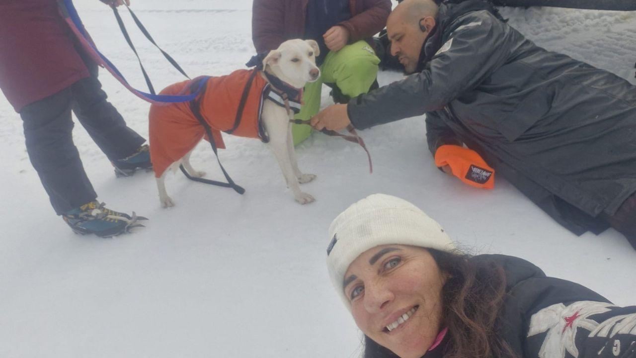 
	La cagnolina Kate dopo il ritrovamento all'Abetone

