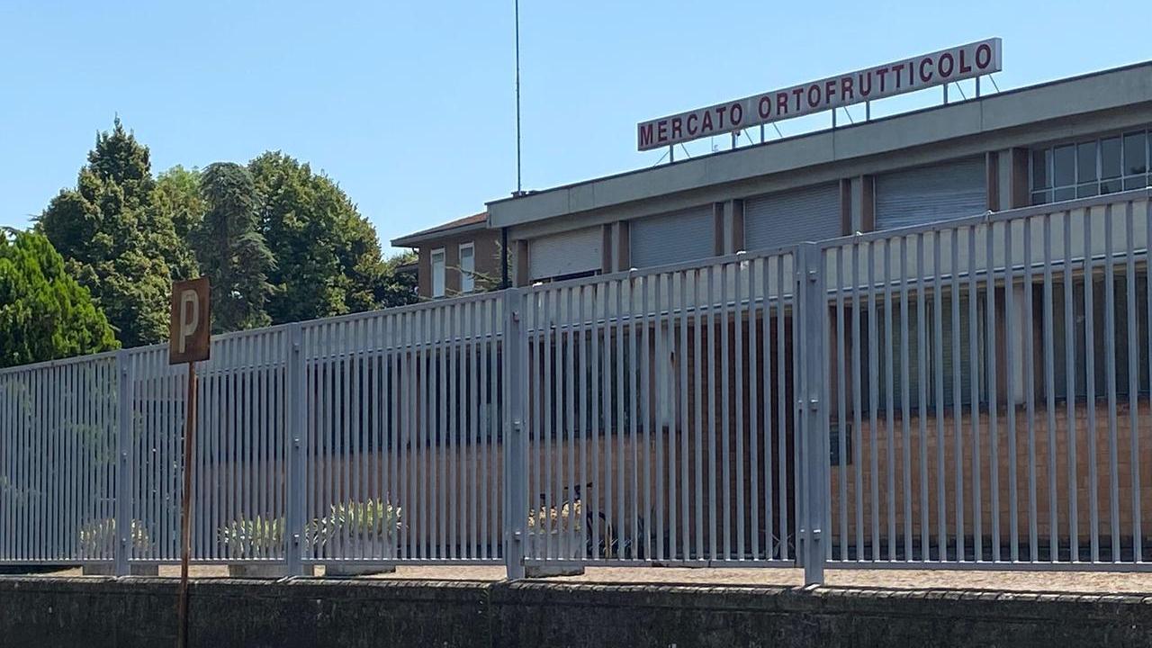 Un hub al mercato ortofrutticolo per rendere “green” le consegne merci in centro