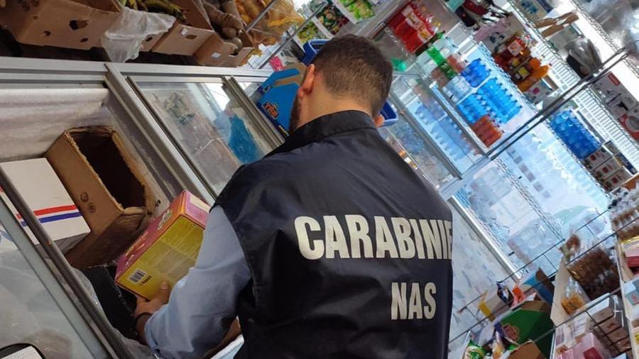 I controlli dei Nas (foto d'archivio)