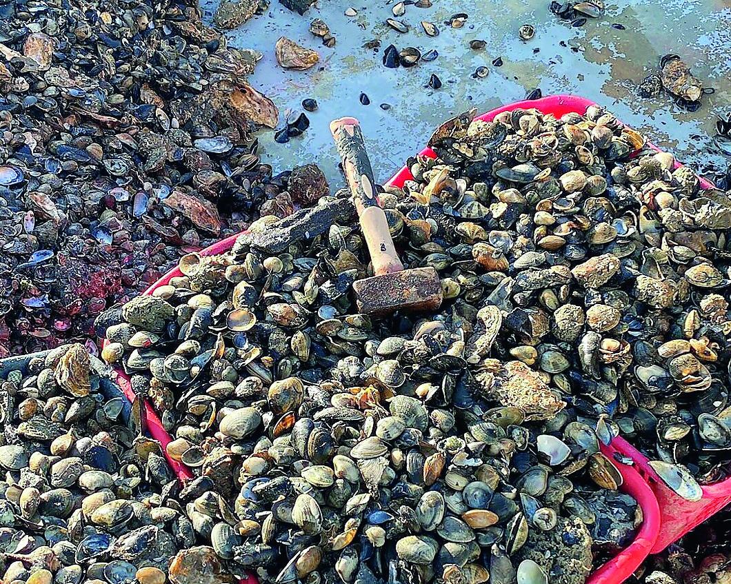 Pescatori raggirati a Comacchio, si aprono i conti della Tecnopesca