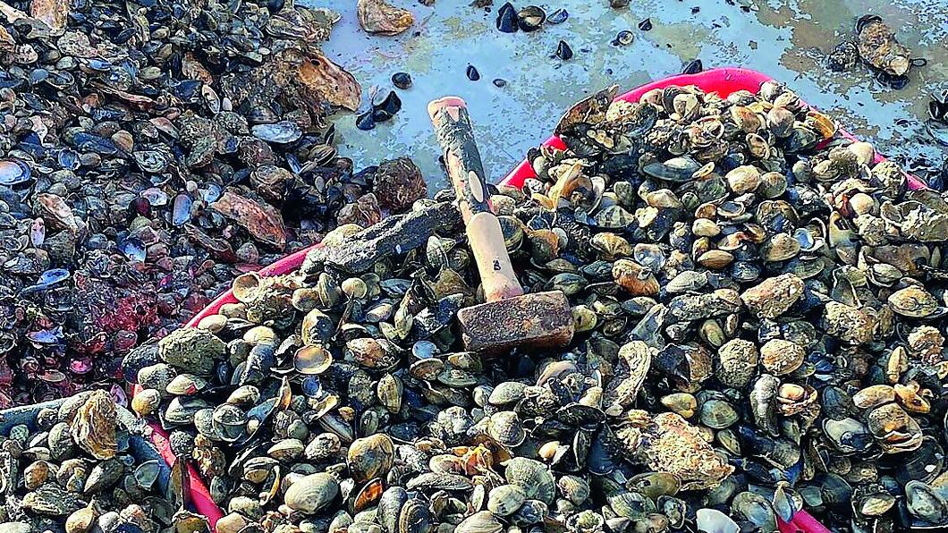 Pescatori raggirati a Comacchio, si aprono i conti della Tecnopesca