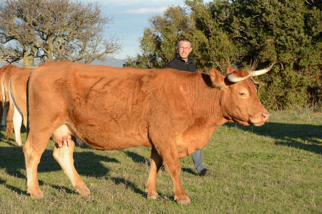 Eccellenze dell’agroalimentare: la Francia premia un allevatore gallurese