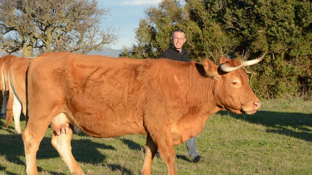 Eccellenze dell’agroalimentare: la Francia premia un allevatore gallurese