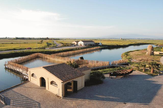 
	La peschiera di Mar'e Pontis


