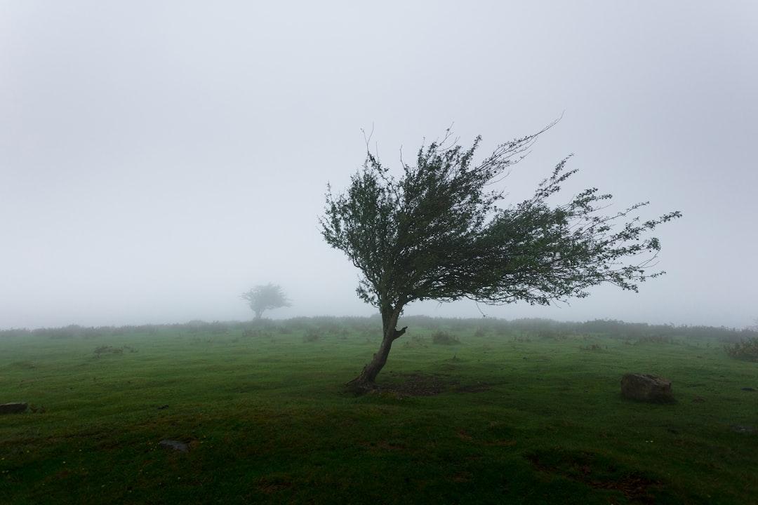 Meteo in Toscana, il vento si rafforza: le previsioni e l’allerta estesa
