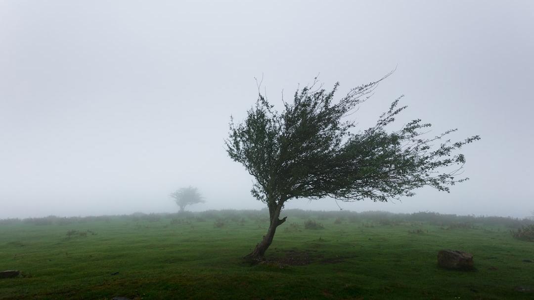 Meteo in Toscana, il vento si rafforza: le previsioni e l’allerta estesa