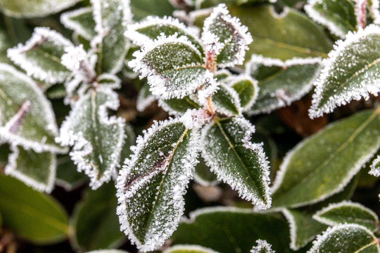 Arriva il freddo a Ferrara e allerta gialla sulla costa