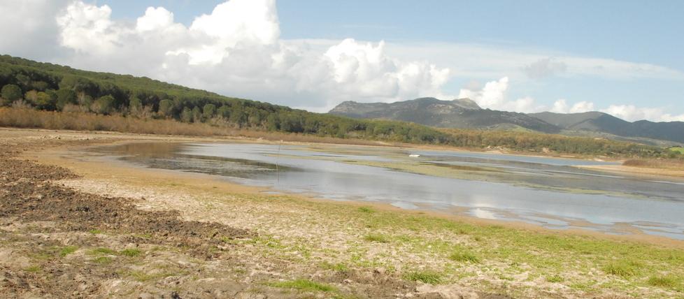 Appello dei deputati Pd: «Un commissario contro la siccità»