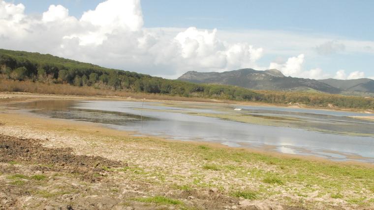 Appello dei deputati Pd: «Un commissario contro la siccità»