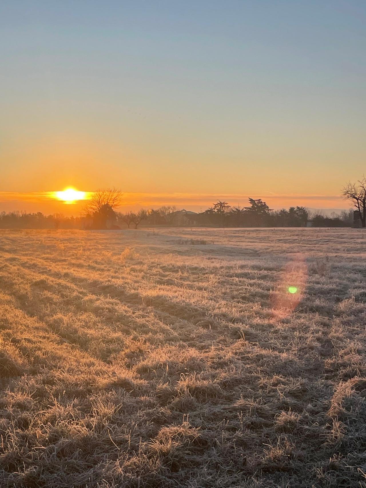 Meteo a Reggio Emilia, nella morsa del gelo: ecco quando migliora