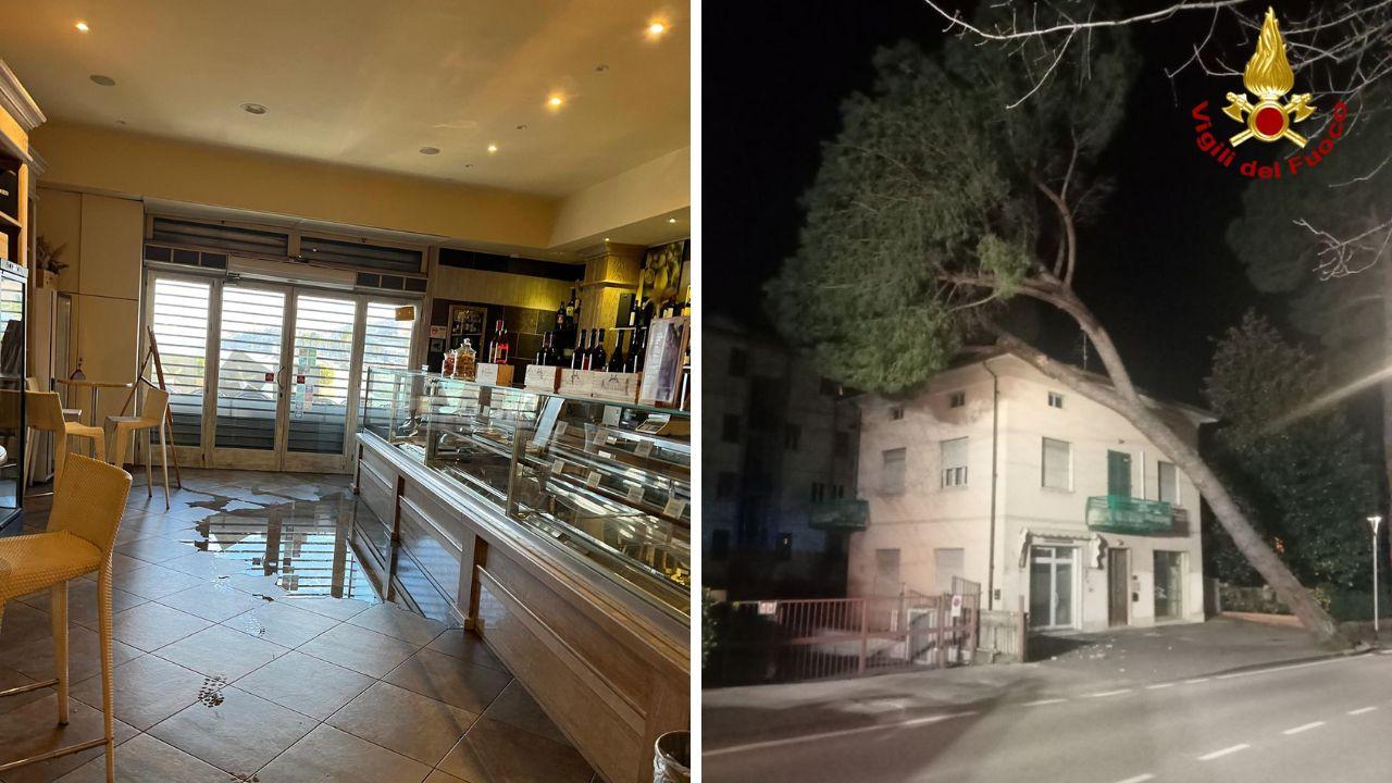 
	Il mare nel bar e l'albero crollato a Montecatini

