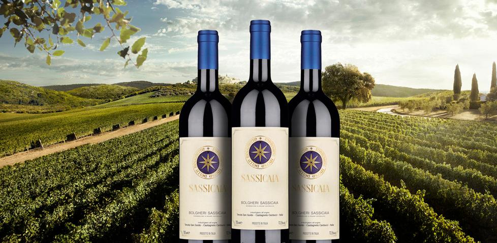 
	Il celebre Sassicaia

