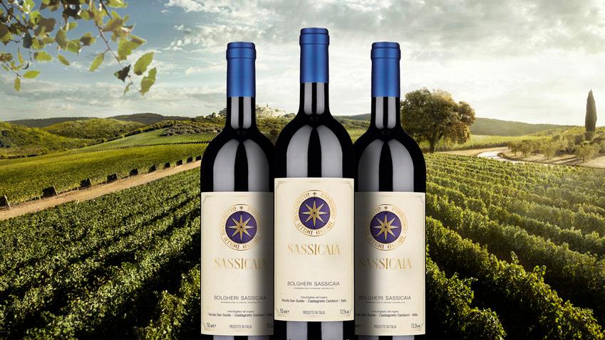 Il celebre Sassicaia