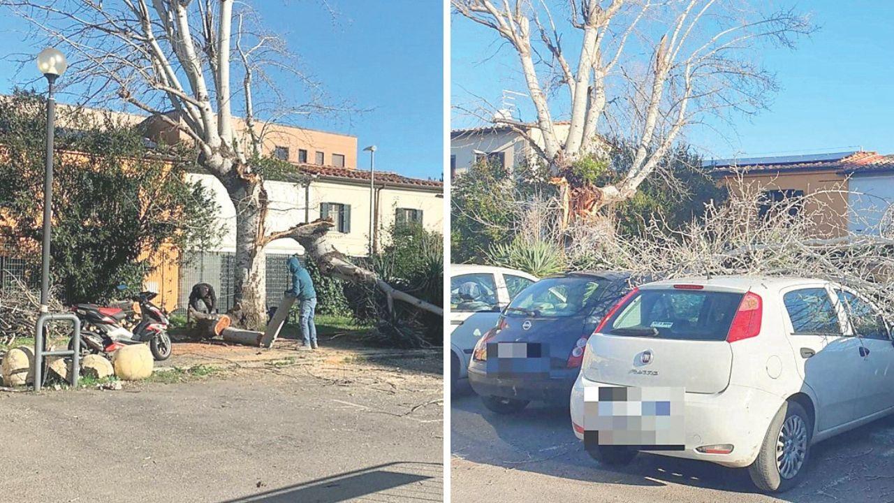 Le auto danneggiate e gli operai al lavoro