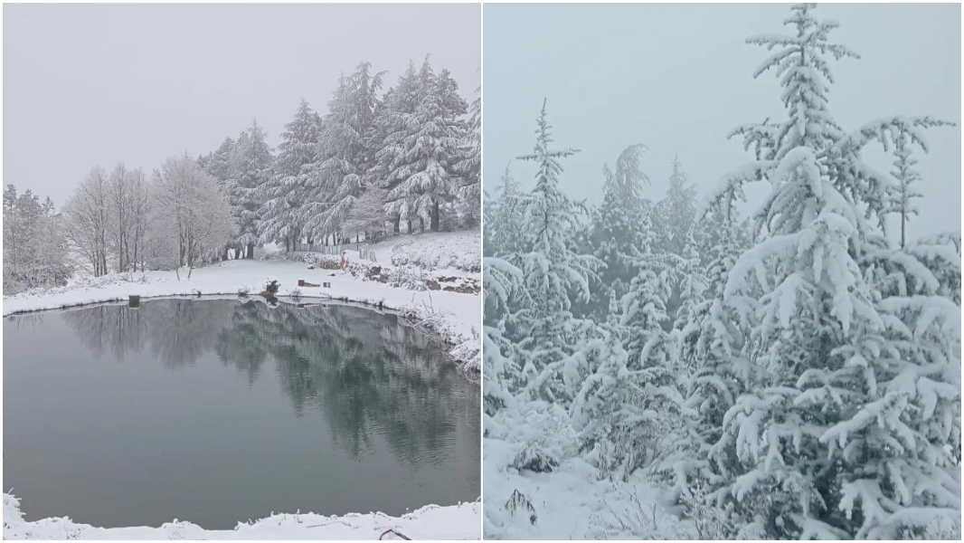 Il paesaggio incantato di Su Separadorgiu con 15 centimetri di neve