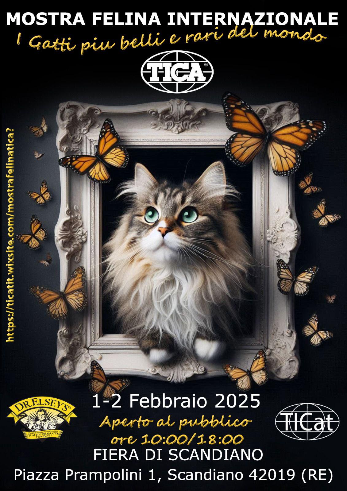 Mostra internazionale dei gatti alle Fiere di Scandiano