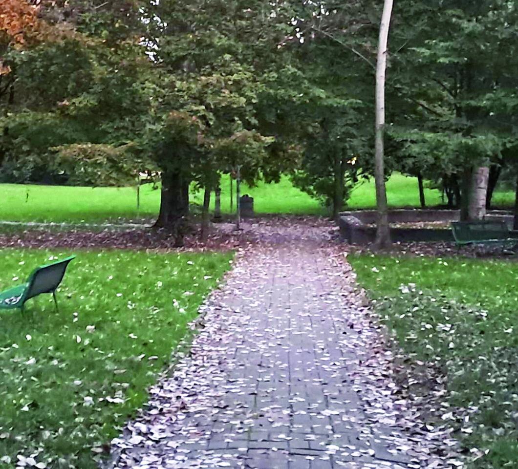 Correggio, telecamere in arrivo contro la criminalità al Parco Diritto alla pace