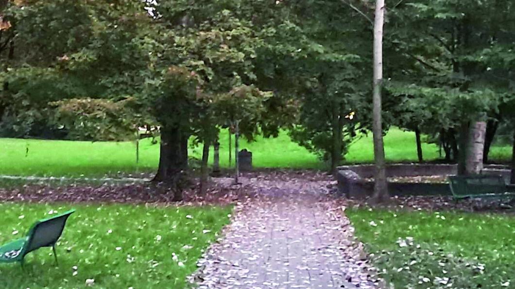 Correggio, telecamere in arrivo contro la criminalità al Parco Diritto alla pace