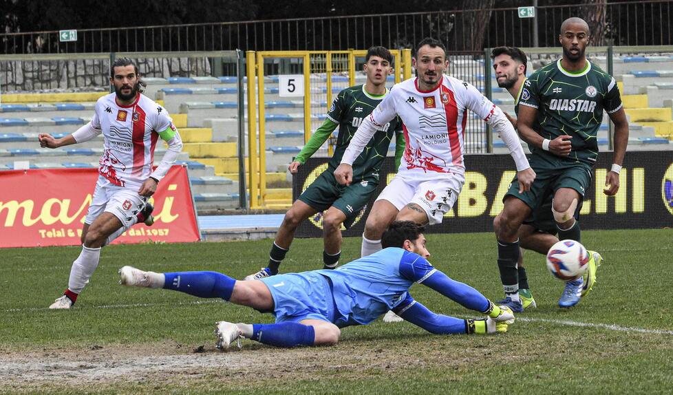 Grosseto, fallito l’assalto al secondo posto: con il Seravezza non va oltre il pareggio