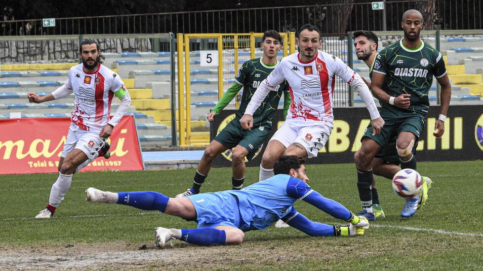 Grosseto, fallito l’assalto al secondo posto: con il Seravezza non va oltre il pareggio