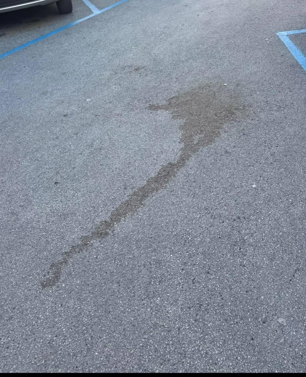 
	Chiazze di sangue sull'asfalto

