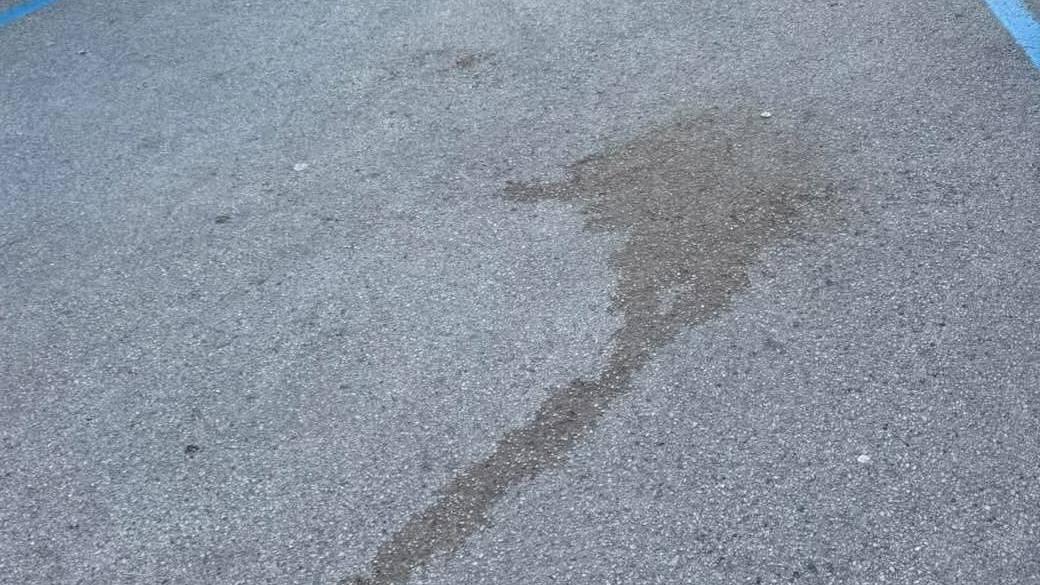 Chiazze di sangue sull'asfalto