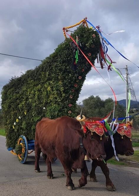 La festa di Sant’Antonio vista da Torpé