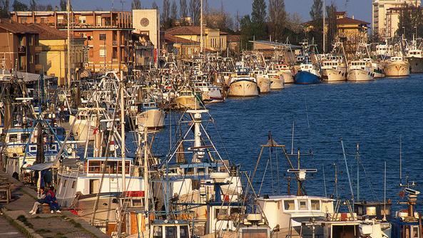 Comacchio, così il presidente ha vuotato le casse della coop Tecnopesca