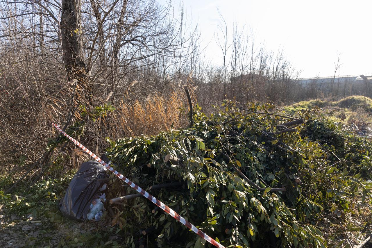 
	Il boschetto dietro al cimitero di San Cataldo


