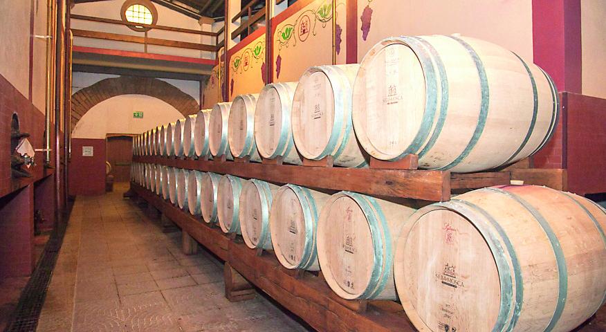 Da Sella&Mosca a Capichera e Mesa, quando gli investitori vengono da fuori