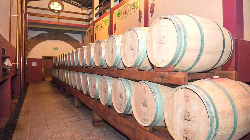 Da Sella&Mosca a Capichera e Mesa, quando gli investitori vengono da fuori