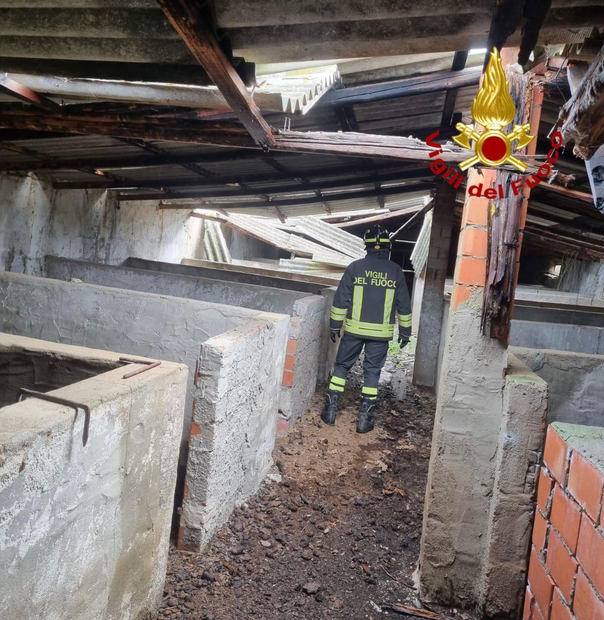 
	L'intervento dei&nbsp;vigili del fuoco nelle campagne di Lanusei

