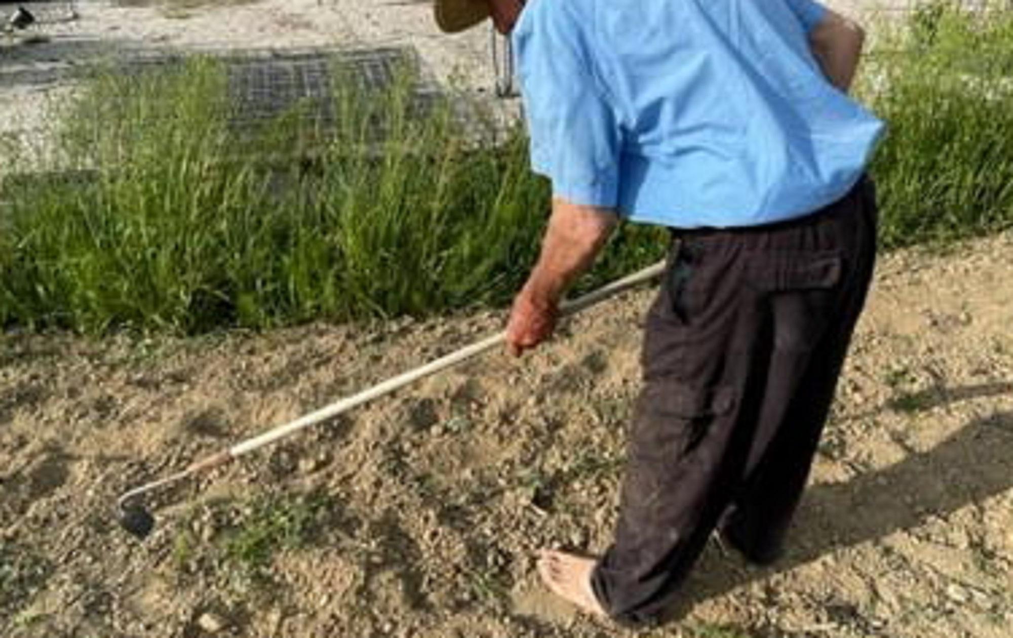 Un contadino mentre coltiva (foto d'archivio)