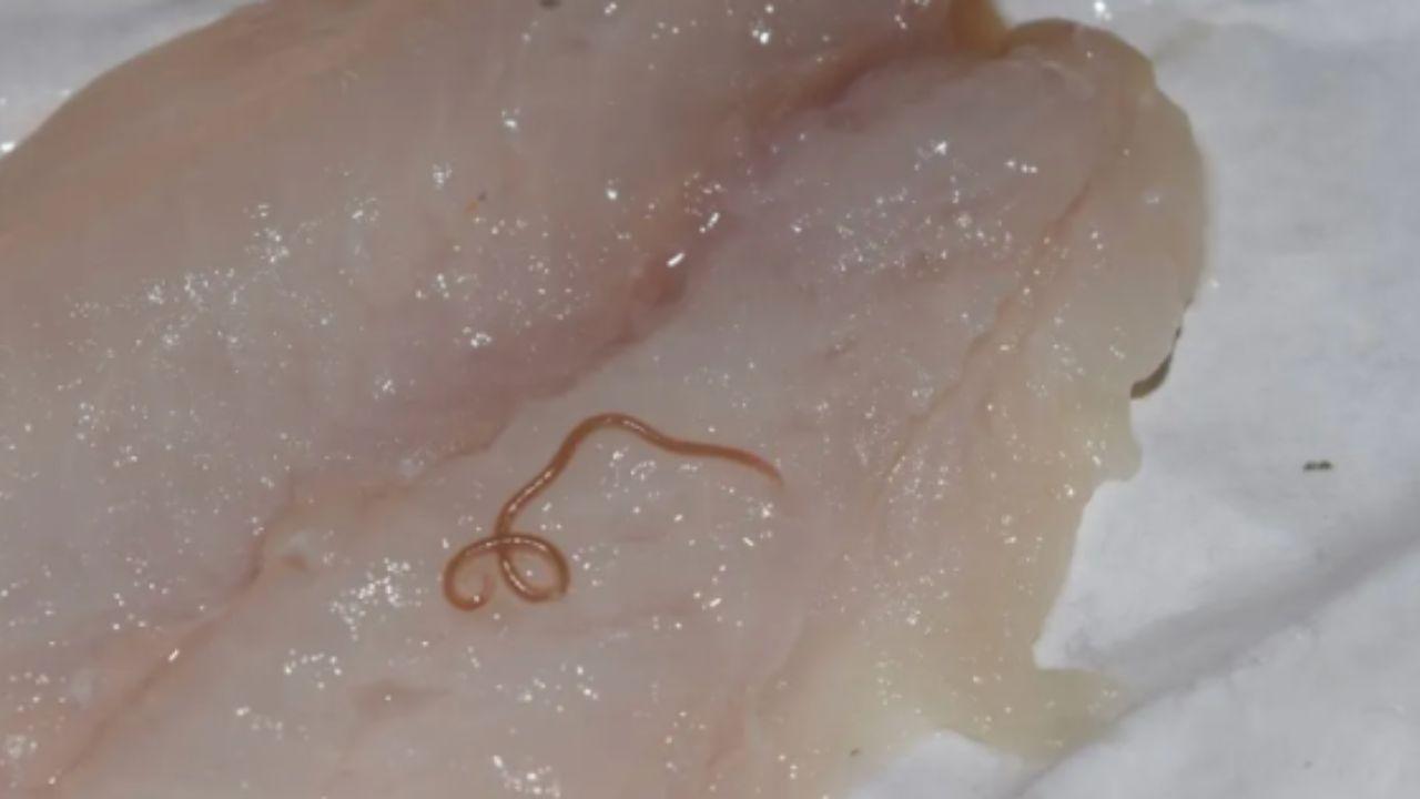 Il pericoloso parassita