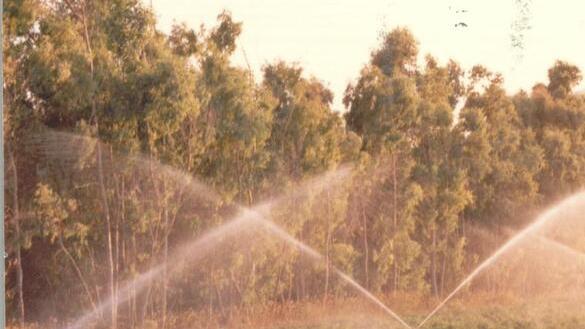 Agricoltura, Confagricoltura: «La crisi idrica è finita ma ora attenzione ai consumi»