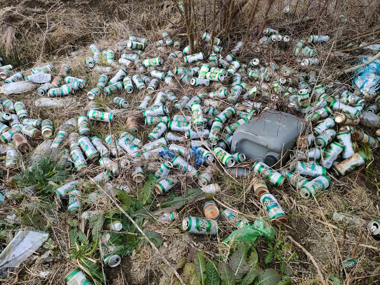 Boretto, la Provinciale 111 come una discarica a cielo aperto: la Provincia convoca un summit