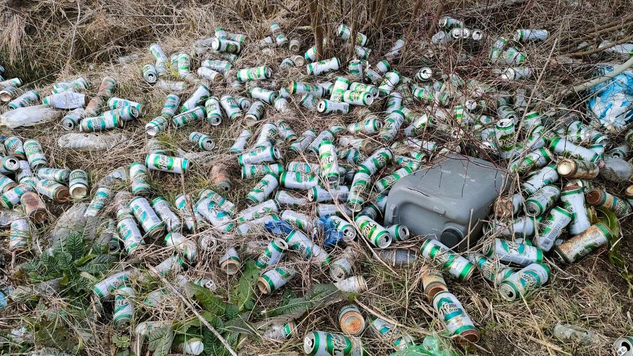 Boretto, la Provinciale 111 come una discarica a cielo aperto: la Provincia convoca un summit