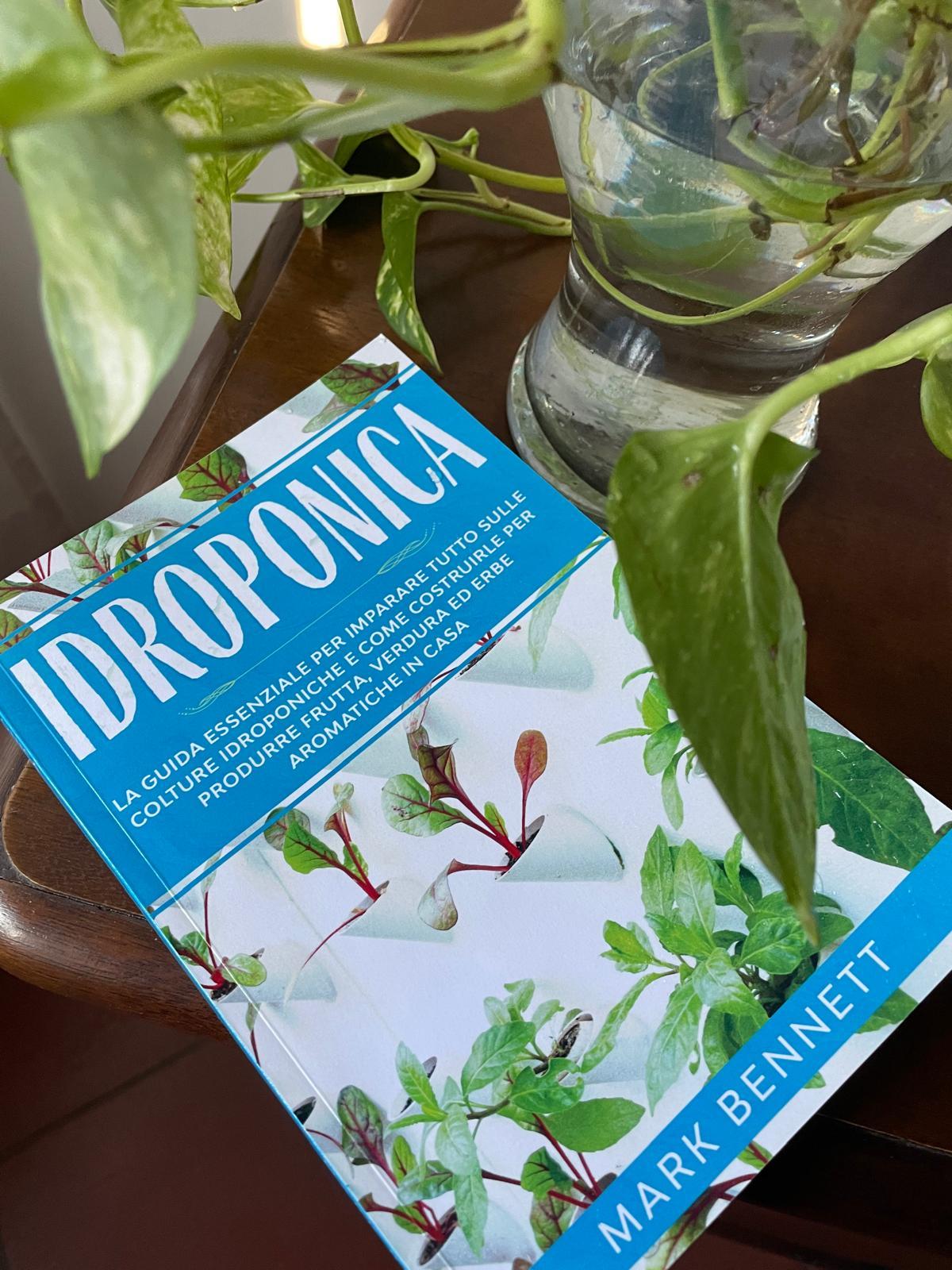 Coltivazione idroponica, l’ideale per chi non ha spazi