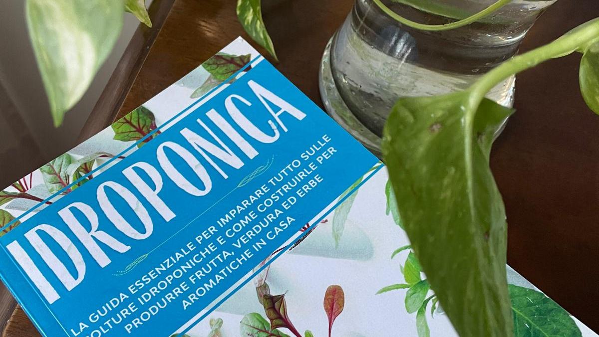 Coltivazione idroponica, l’ideale per chi non ha spazi