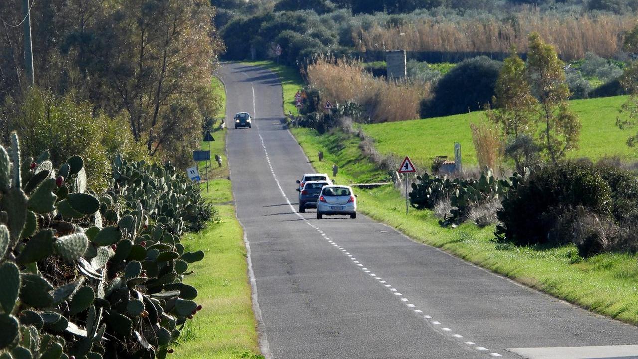 La strada provinciale Tramatza-Milis (foto Franceso Pinna)