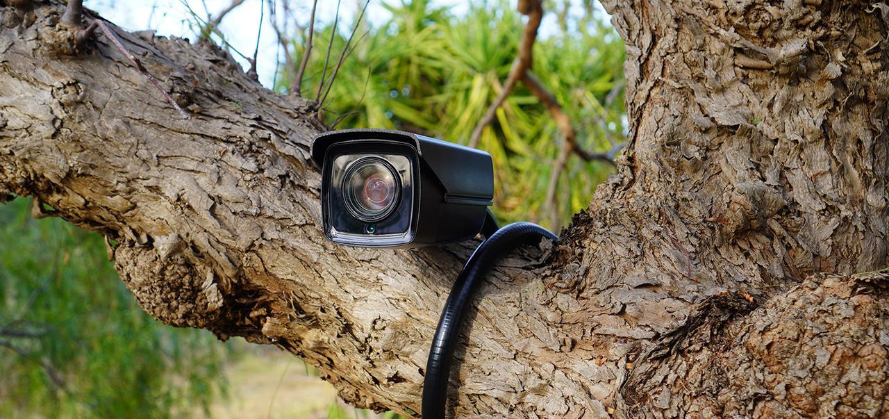 
	Gli atti sessuali sono stati ripresi da una telecamera installata contro chi smaltisce illegalmente i rifiuti


