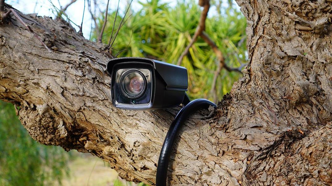 Gli atti sessuali sono stati ripresi da una telecamera installata contro chi smaltisce illegalmente i rifiuti