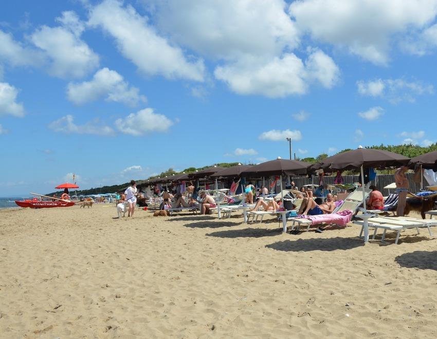 San Vincenzo Servizi, selezioni aperte: 35 le opportunità per la stagione estiva