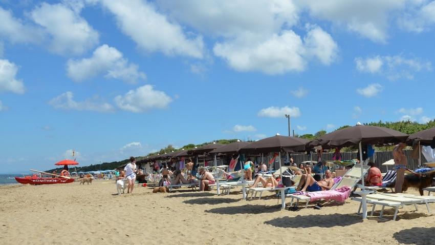 San Vincenzo Servizi, selezioni aperte: 35 le opportunità per la stagione estiva